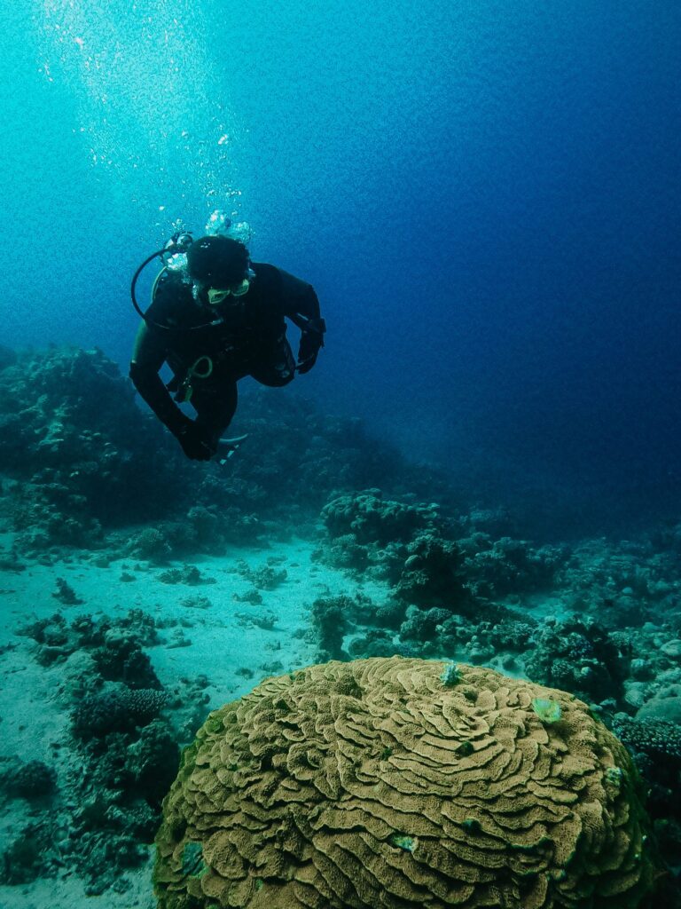 Scuba diver beside coral formations in the Red Sea, South Sinai, Egypt